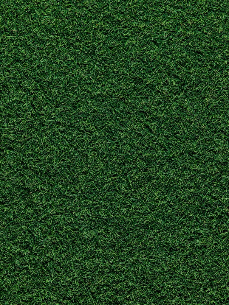 Lawn Seeding