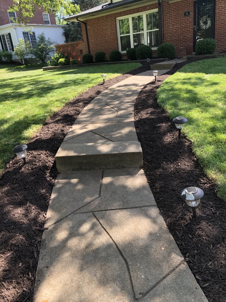 Outdoor Lighting Installation